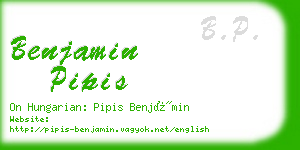 benjamin pipis business card